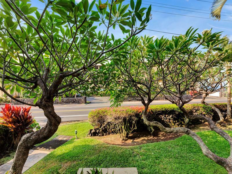 Castle Kona Bali Kai A Condominium Resort Holualoa Luaran gambar